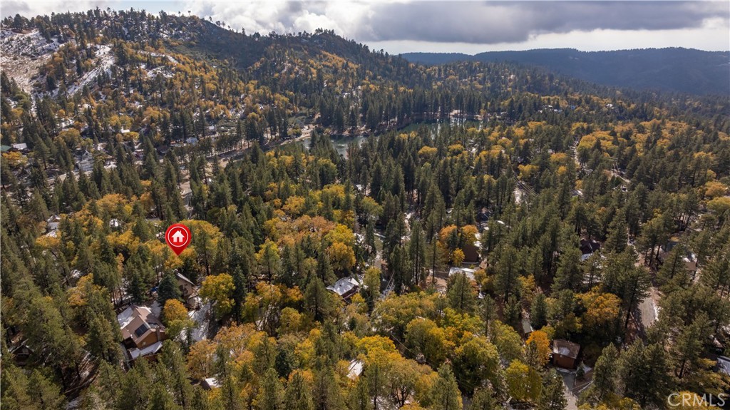 33291 Wild Rose Drive