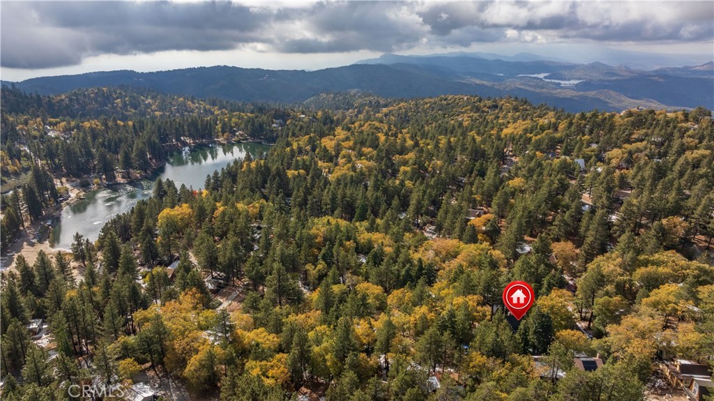 33291 Wild Rose Drive