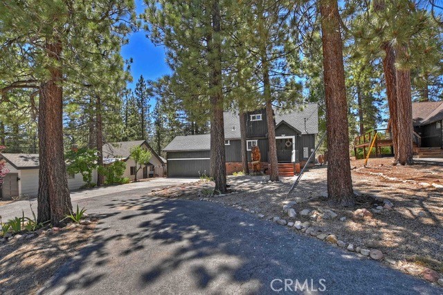 1126 Sugarpine