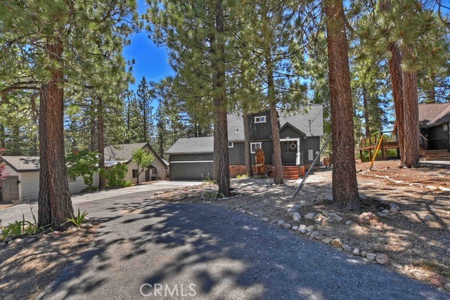 1126 Sugarpine
