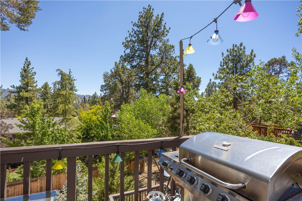 764 Panamint Mountain