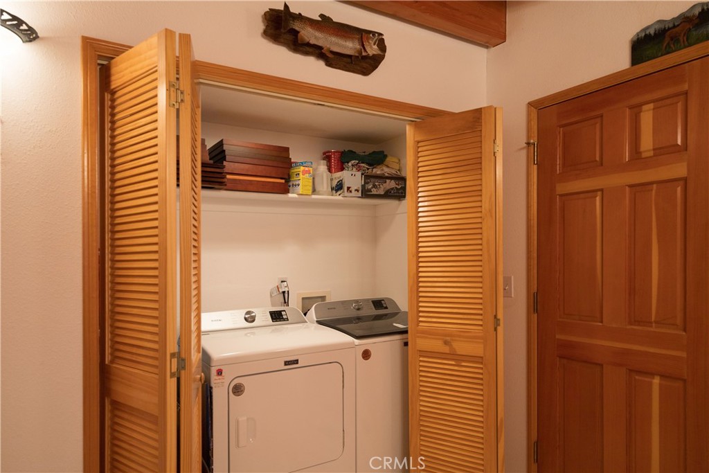 33291 Wild Rose Drive