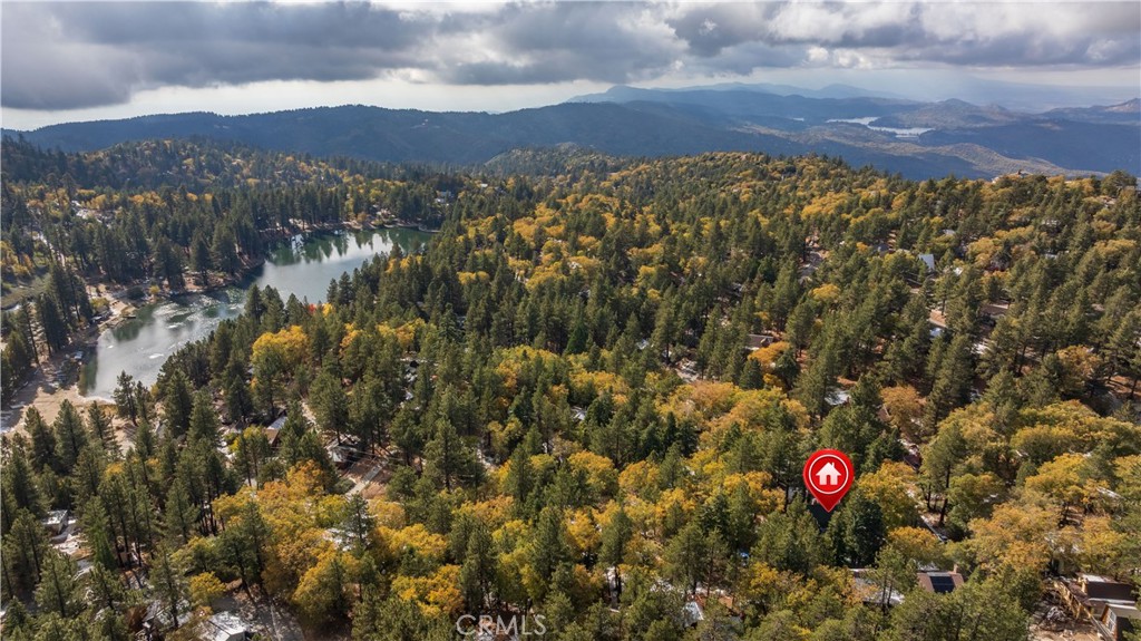 33291 Wild Rose Drive