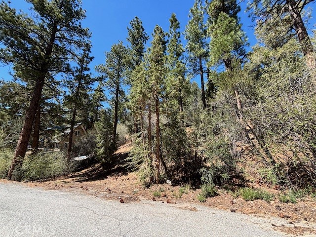 0 E Rainbow Boulevard