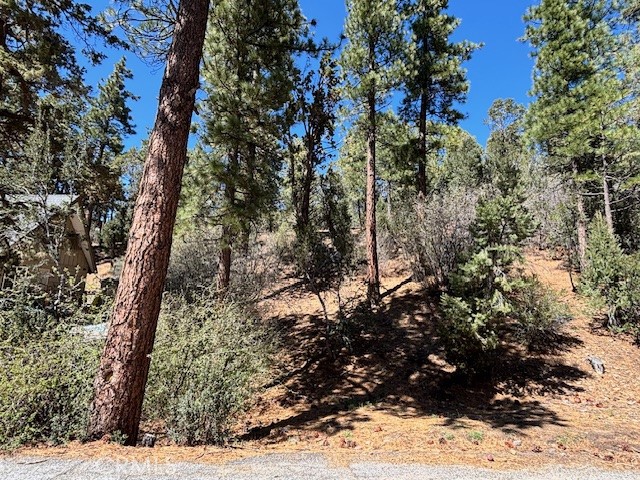 0 E Rainbow Boulevard