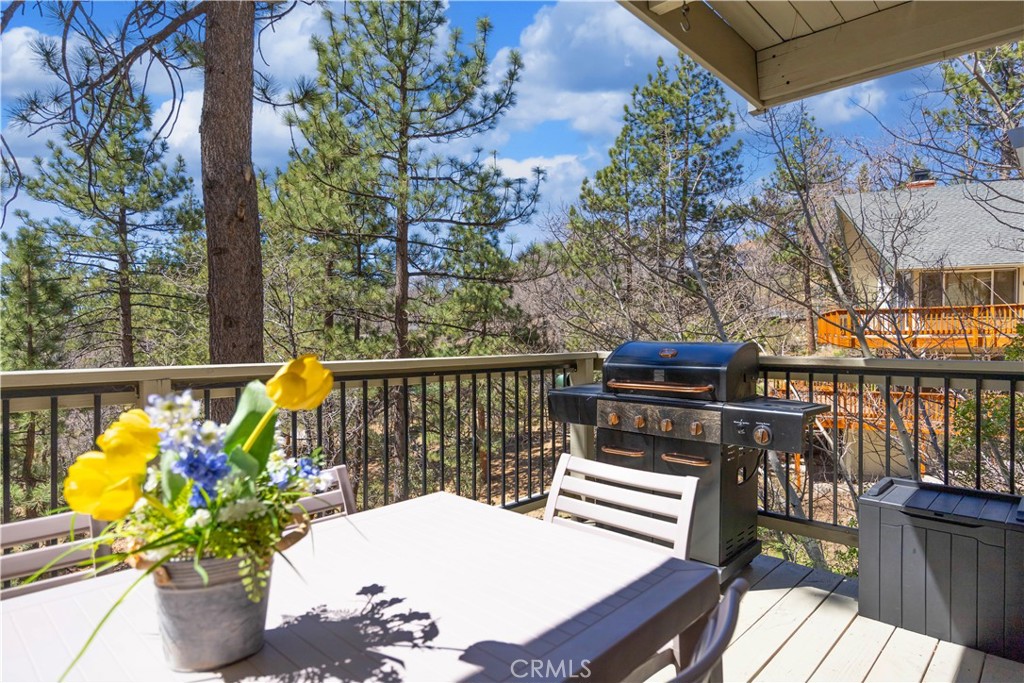 39563 Raccoon Drive