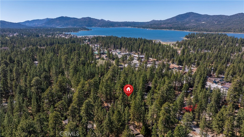 41593 Brownie Lane