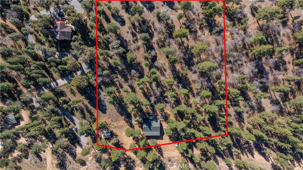 384 Saw Mill Canyon