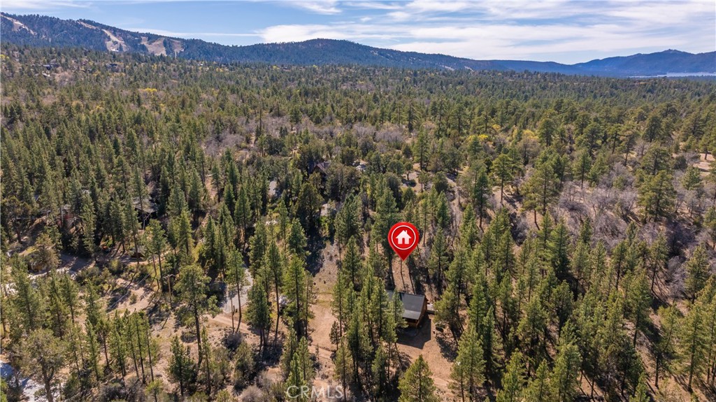 384 Saw Mill Canyon