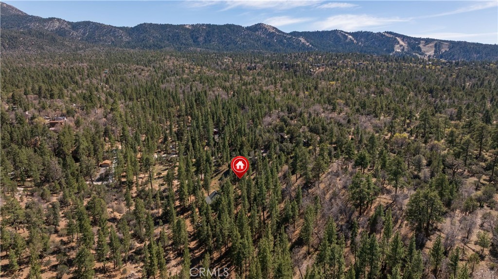 384 Saw Mill Canyon