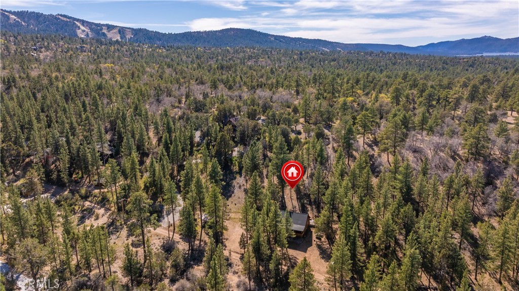 384 Saw Mill Canyon