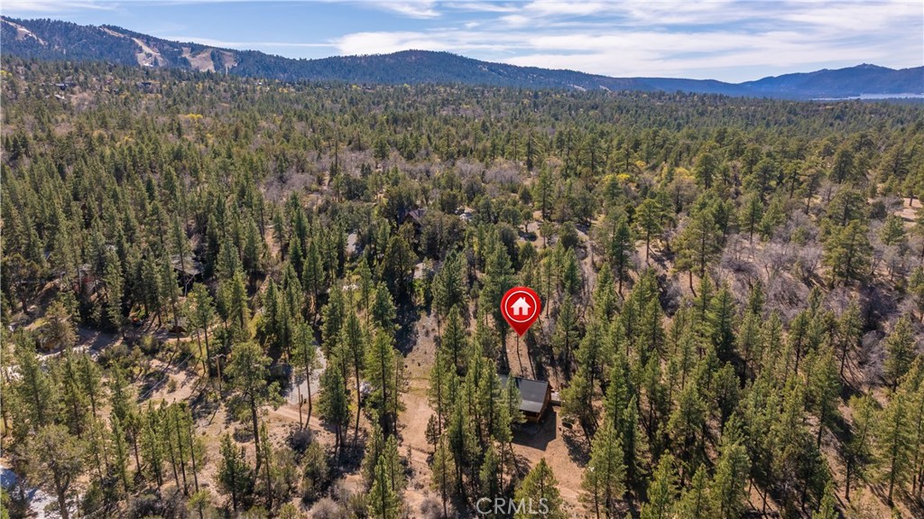 384 Saw Mill Canyon