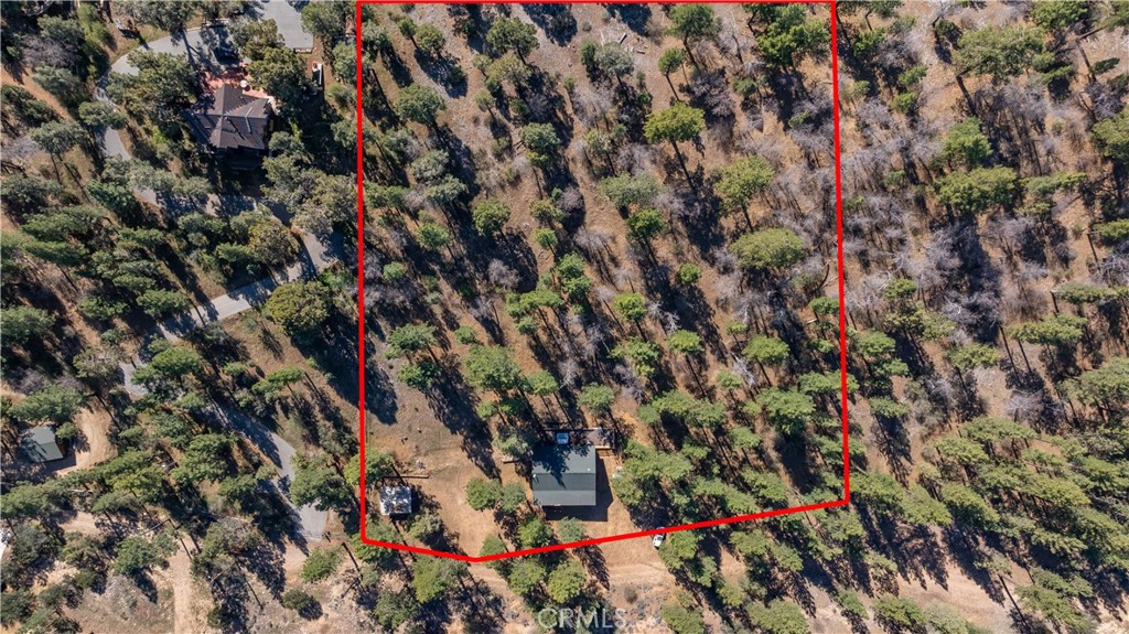 384 Saw Mill Canyon