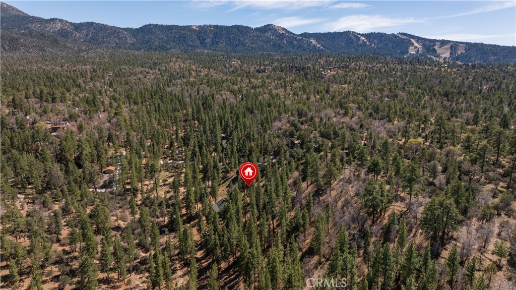 384 Saw Mill Canyon