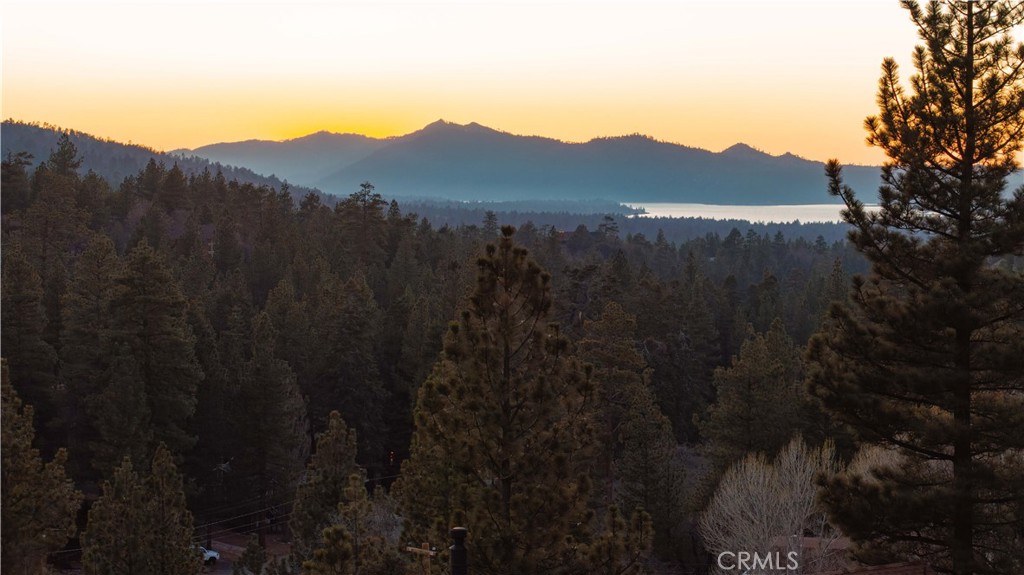 43911 Yosemite Drive