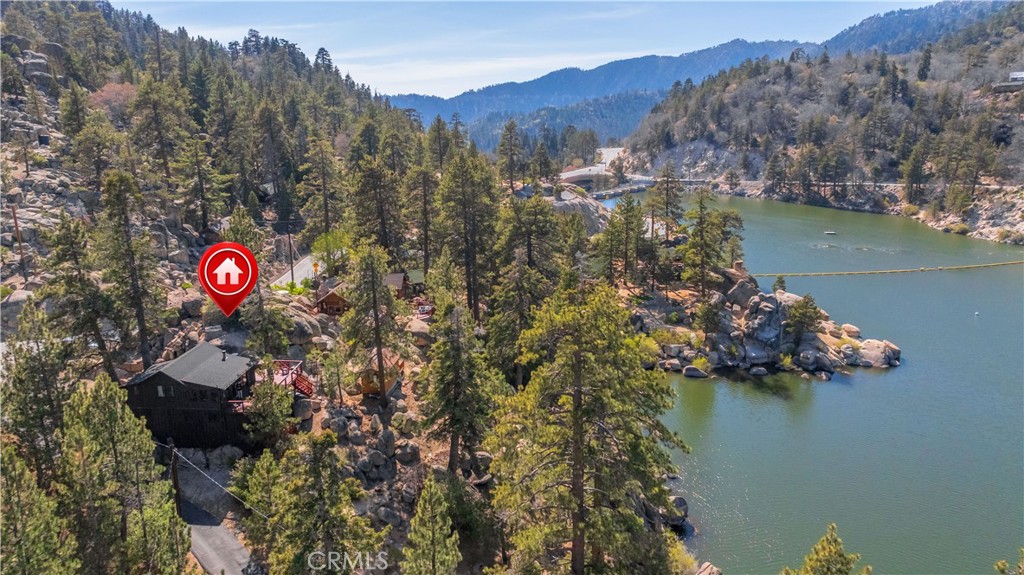 65 Big Bear Trail
