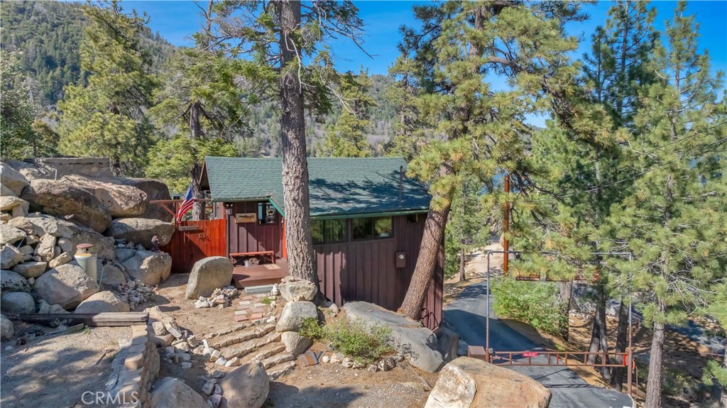 65 Big Bear Trail