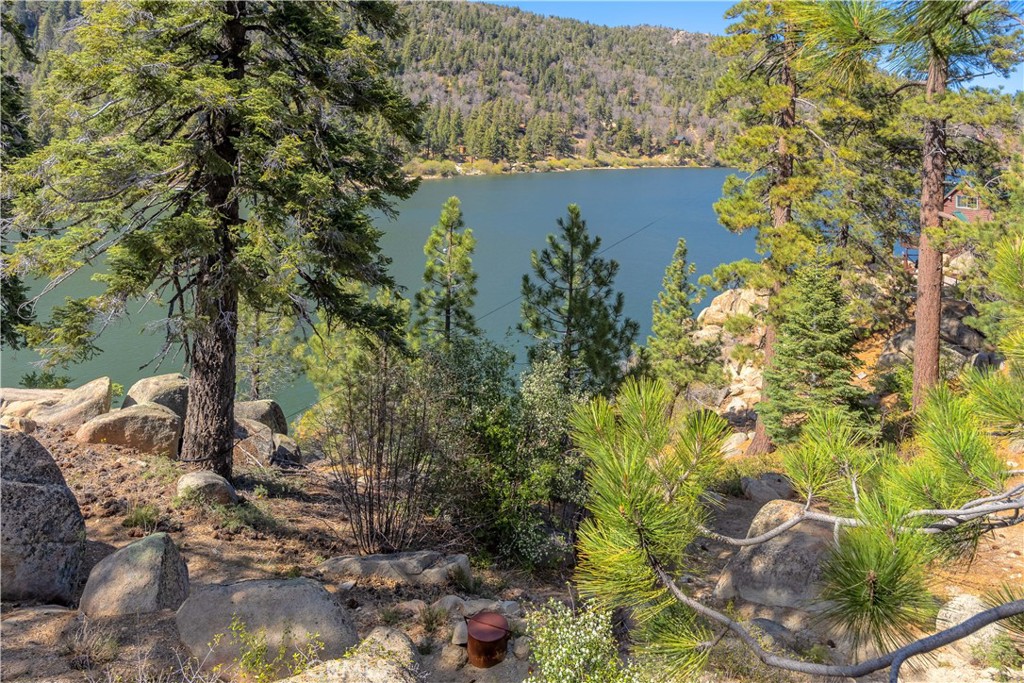 65 Big Bear Trail
