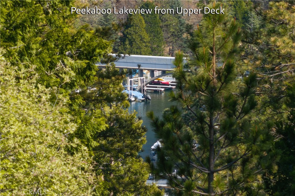 164 Birchwood Drive