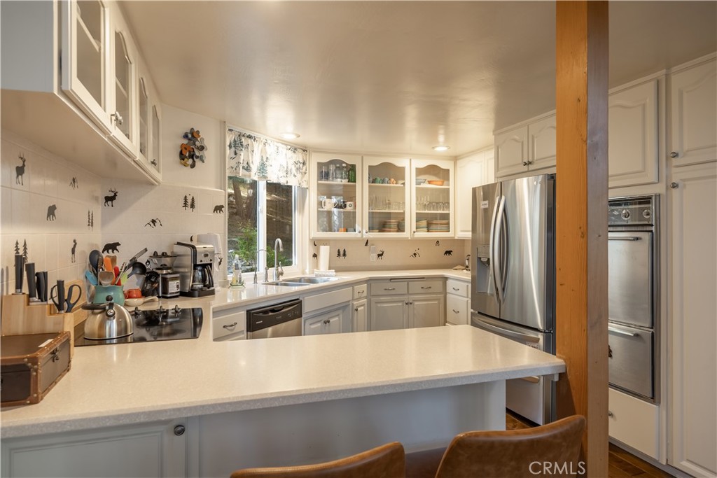 238 Shasta Drive