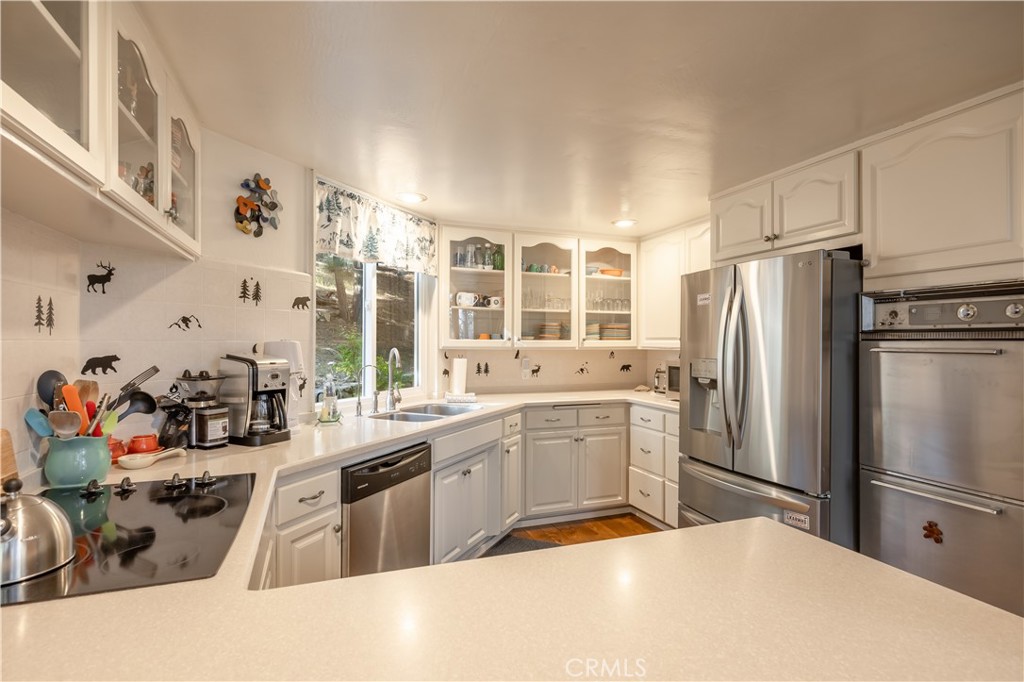 238 Shasta Drive