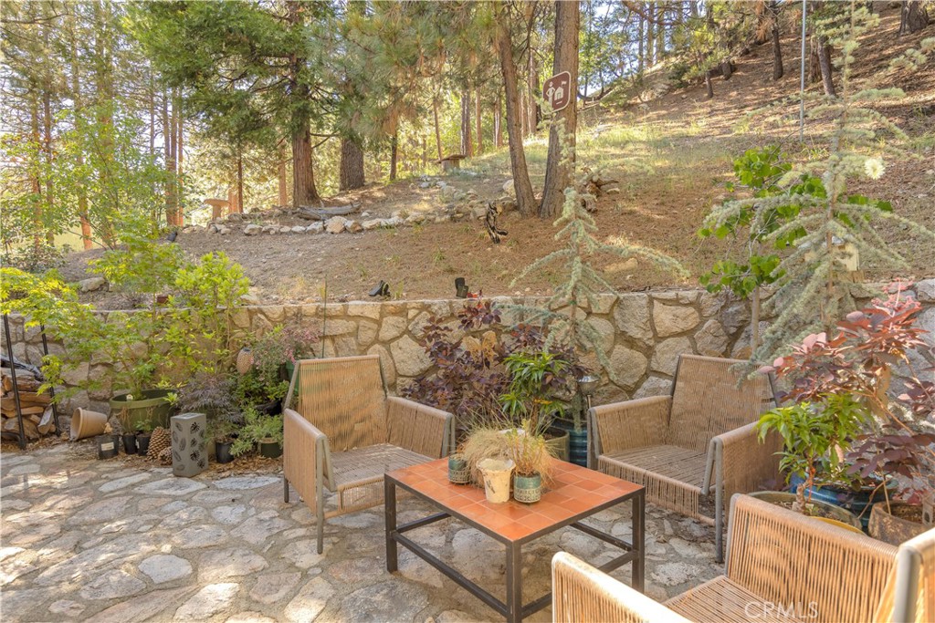 238 Shasta Drive