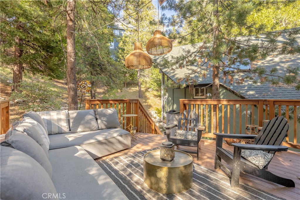 238 Shasta Drive