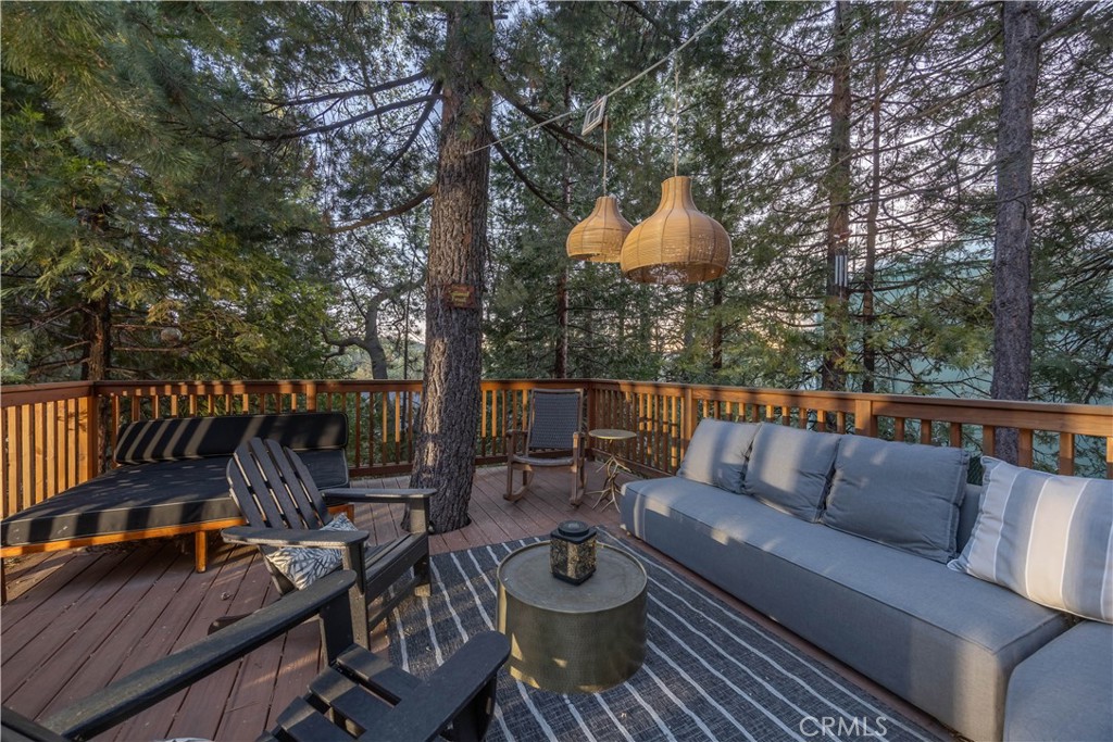 238 Shasta Drive