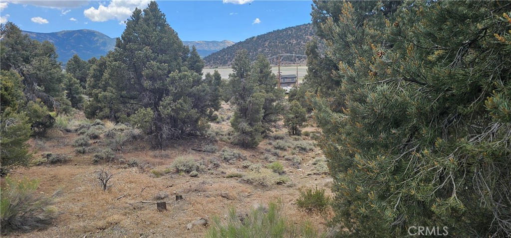 0 Baldwin Lake Road