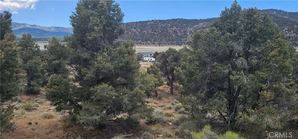 0 Baldwin Lake Road