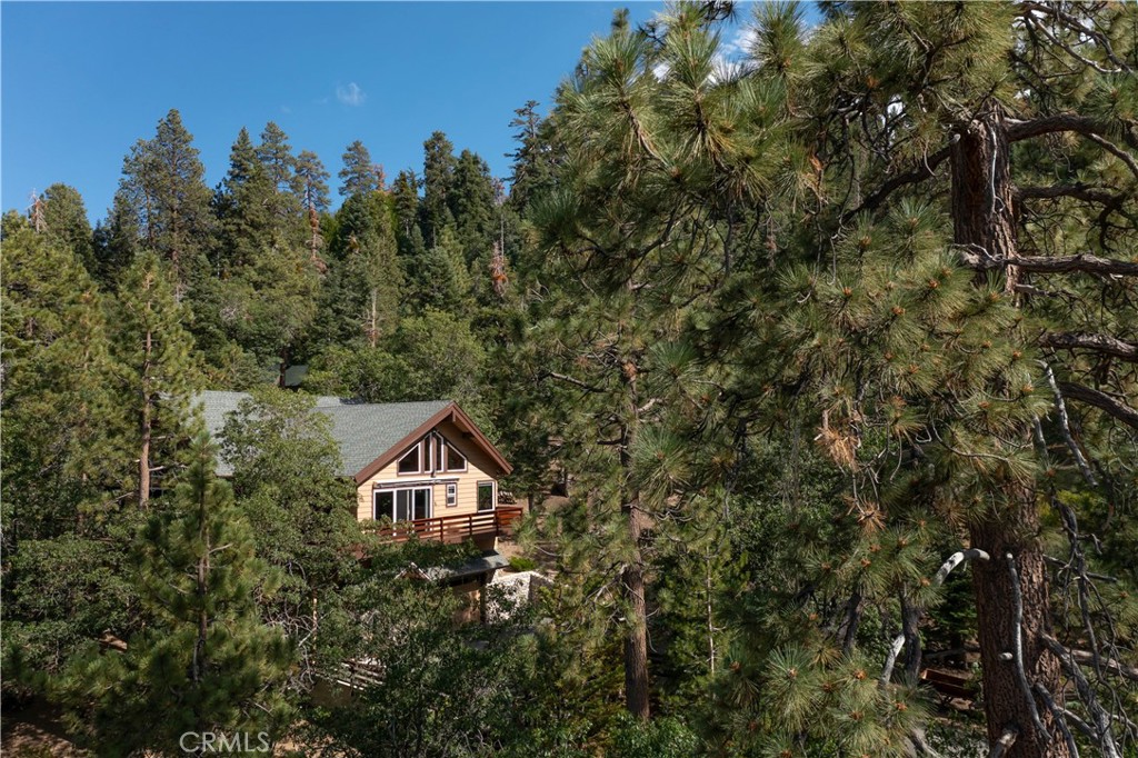 41205 Terrapin Road