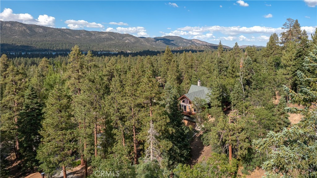 41205 Terrapin Road
