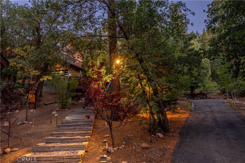 41205 Terrapin Road