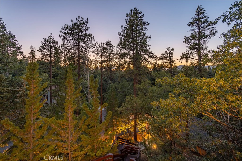 41205 Terrapin Road