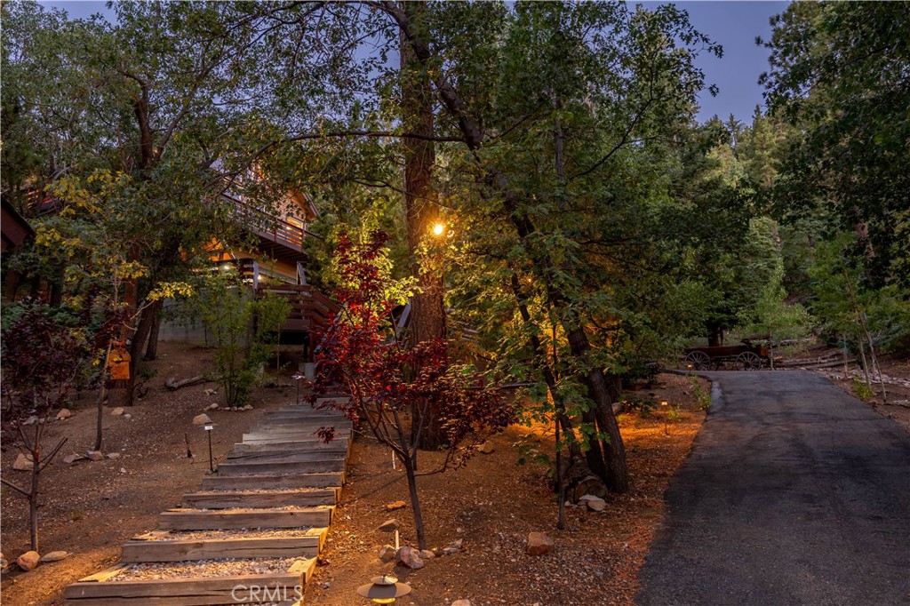 41205 Terrapin Road