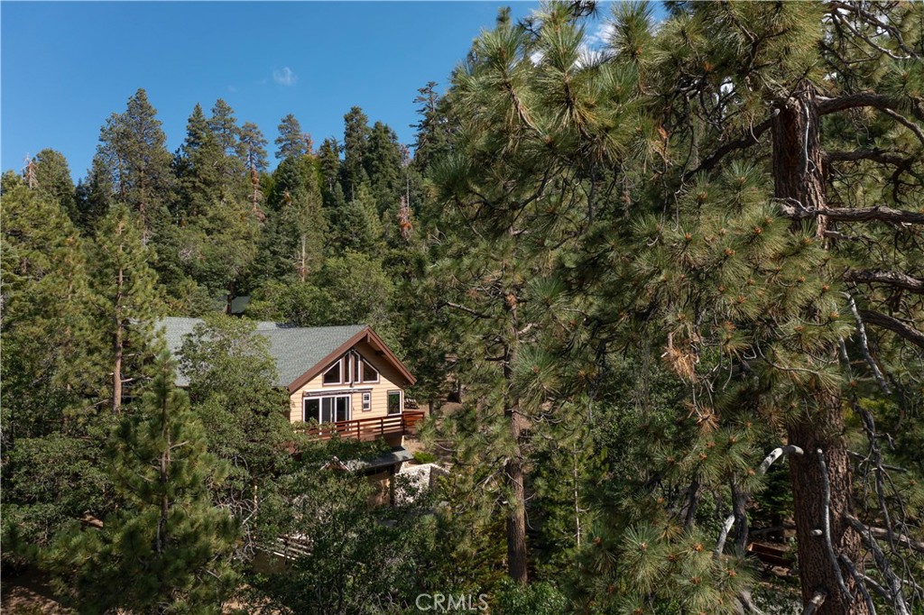 41205 Terrapin Road