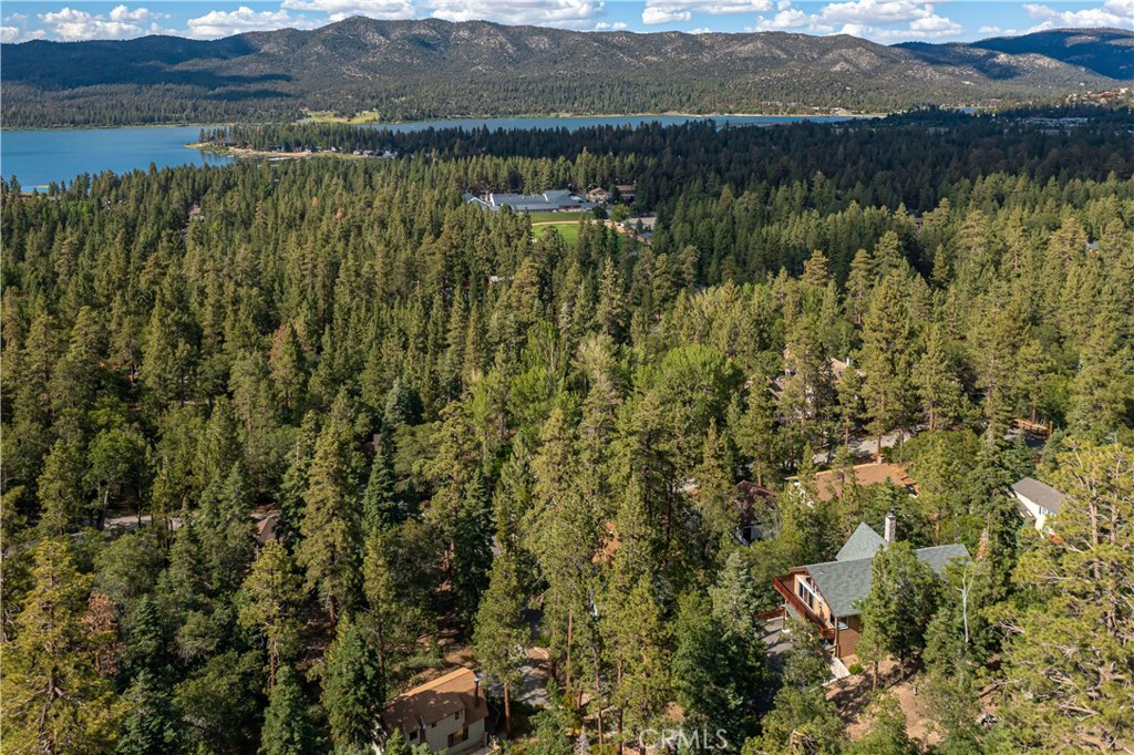 41205 Terrapin Road