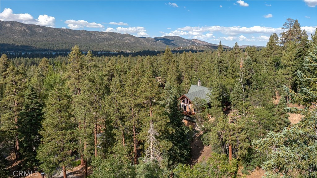41205 Terrapin Road