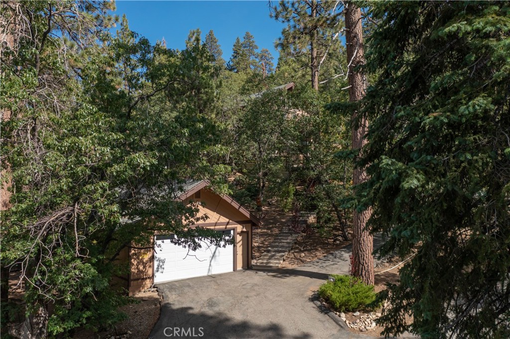 41205 Terrapin Road
