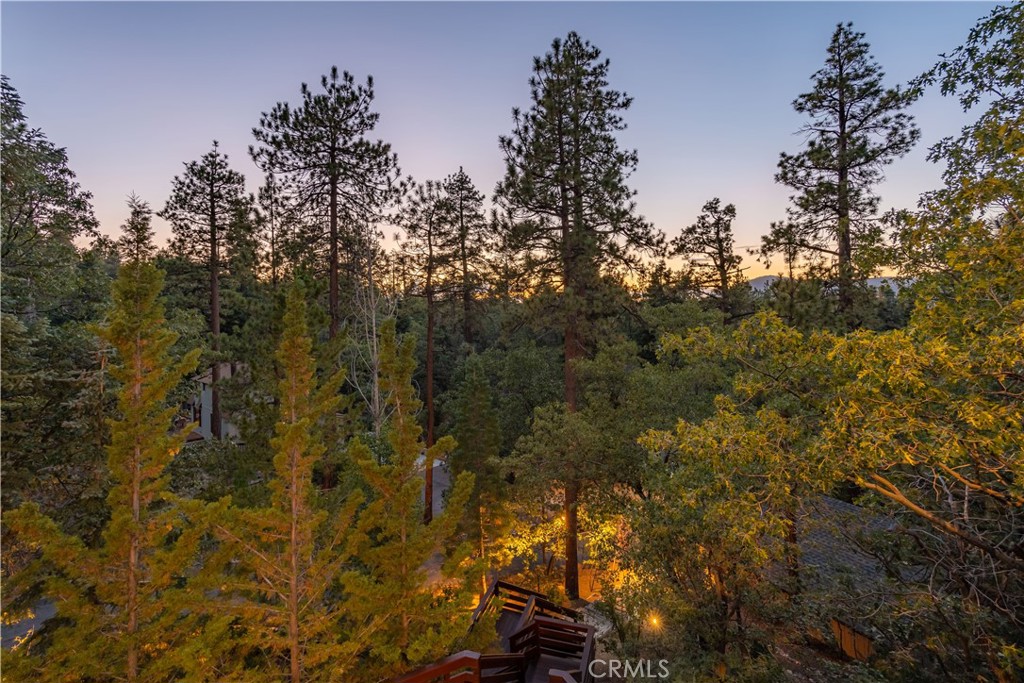 41205 Terrapin Road
