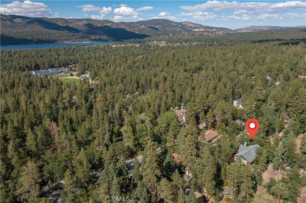 41205 Terrapin Road