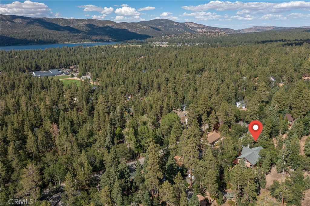 41205 Terrapin Road