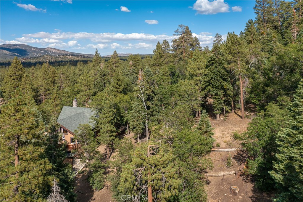 41205 Terrapin Road
