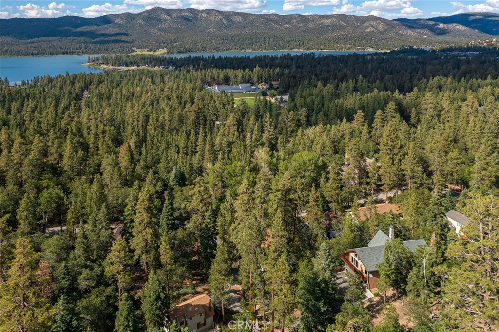 41205 Terrapin Road