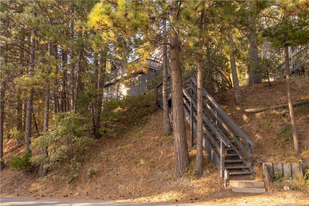 399 Rainier Road
