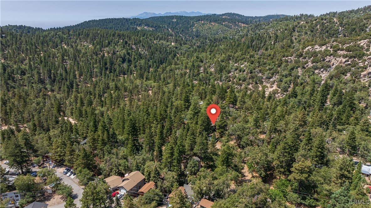 32752 Tulip Lane