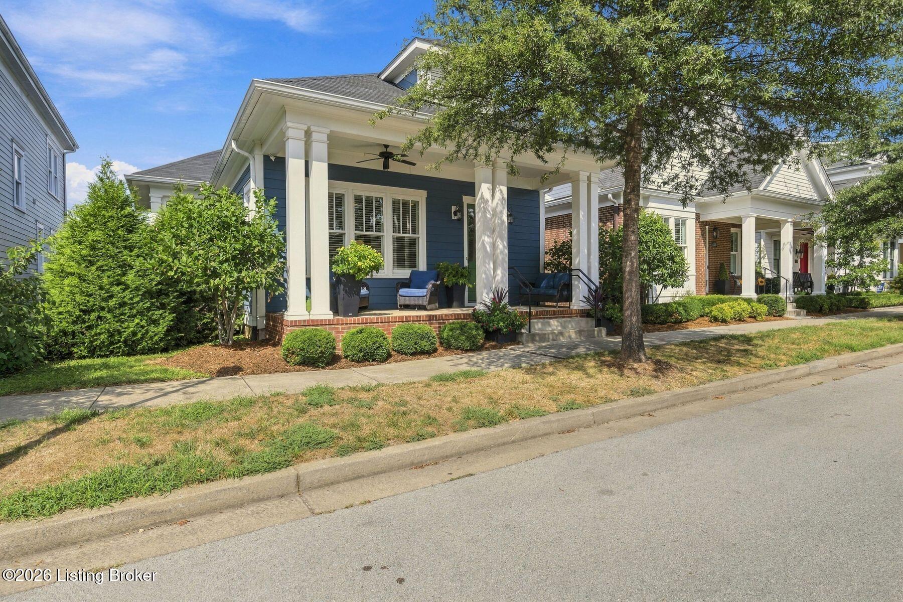 Blue house with a furnished covered porch, white columns, and mature tree.