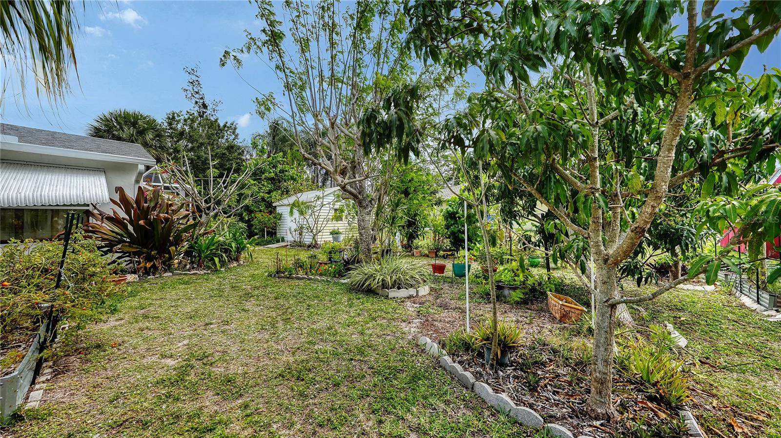 256 EIDER RD