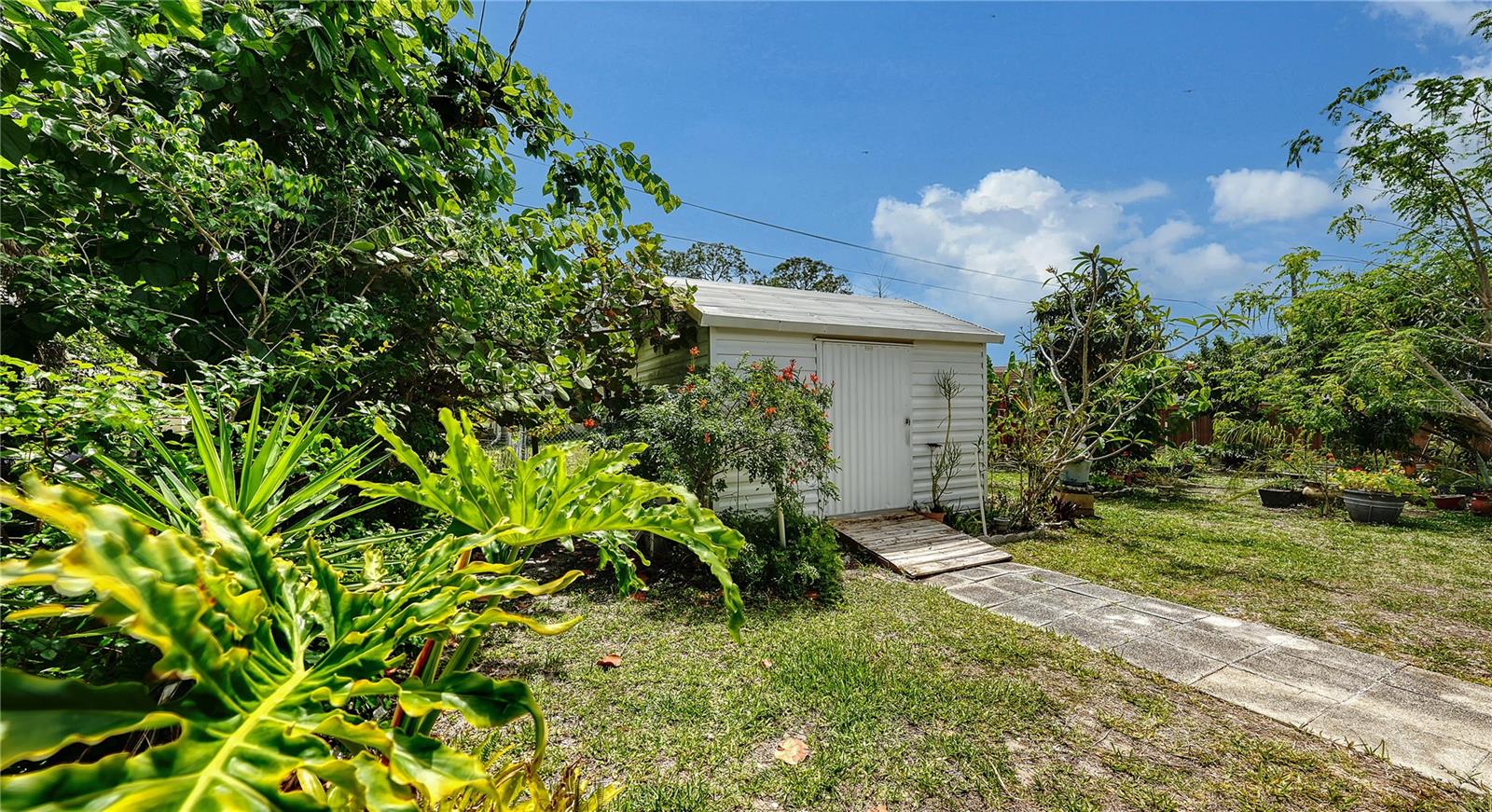 256 EIDER RD