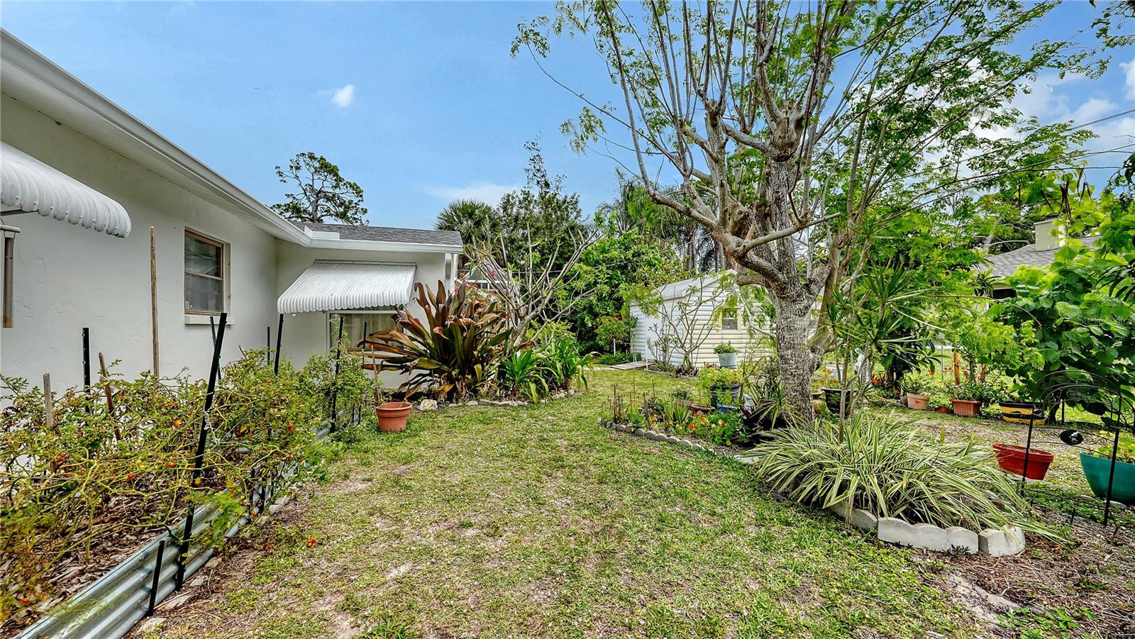 256 EIDER RD